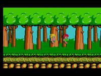 une photo d'Ã©cran de Wonder Boy sur Sega Master System